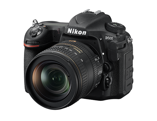 (무료) Nikon D500